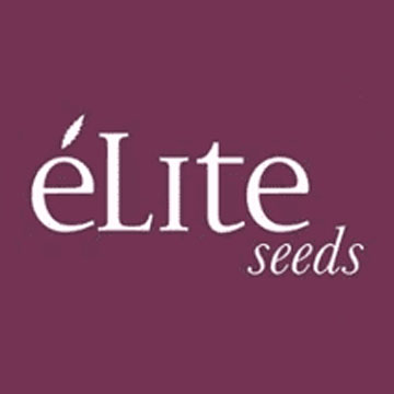 Élite Seeds