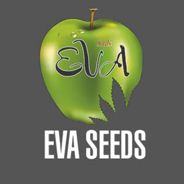 Eva Seeds