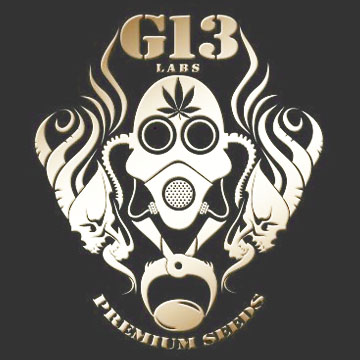 G13 Labs