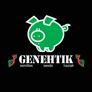 Genehtik Seeds Haziak