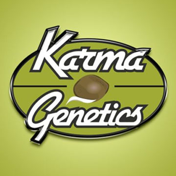 Karma Genetics