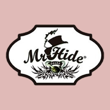 Mr Hide Seeds