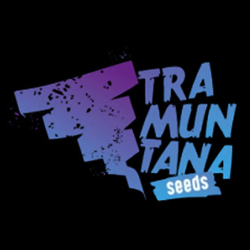 Tramuntana Seeds