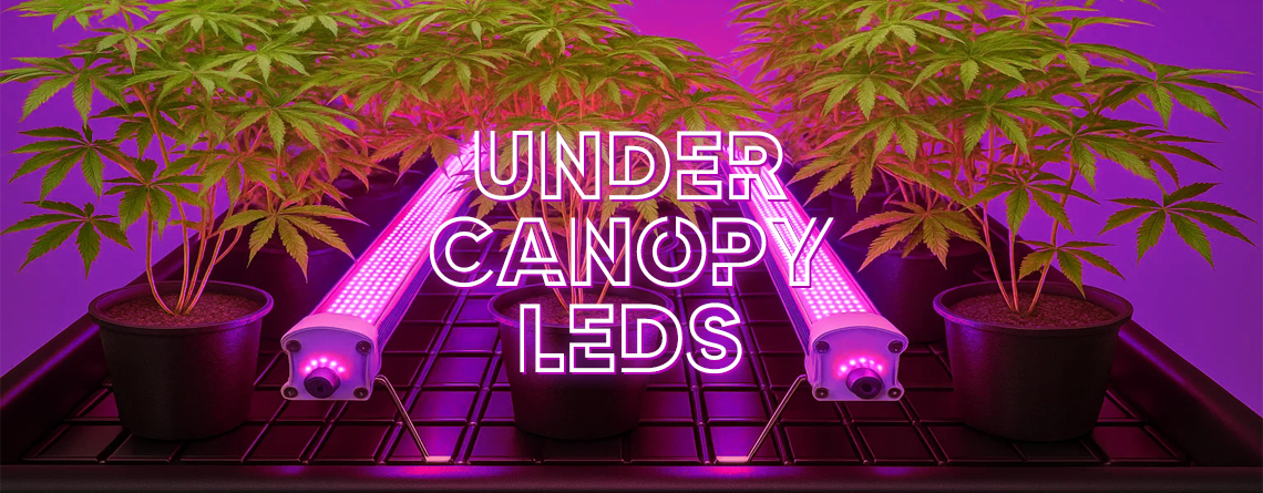 Under Canopy LEDs (UCL): ventajas, estudios, instalación y utilización
