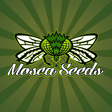 Mosca Seeds