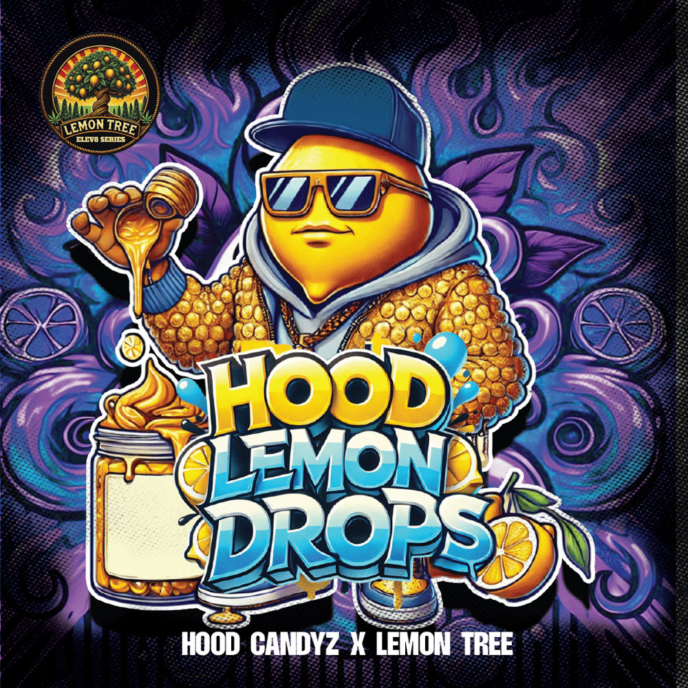 Hood Lemon Drops semillas feminizadas | Elev8 Seeds