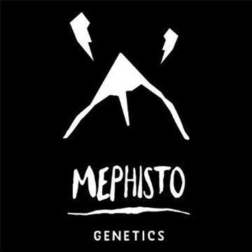 Mephisto Genetics