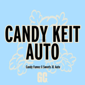 Candy Keit Auto semillas autoflorecientes (5 uds.) | Grand Cru Genetics