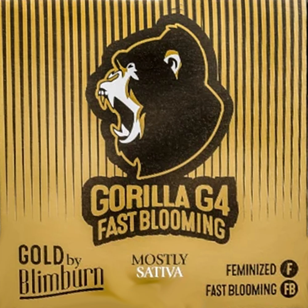 Gorilla Glue #4 FB Fast Version femminizzata | Blimburn Seeds