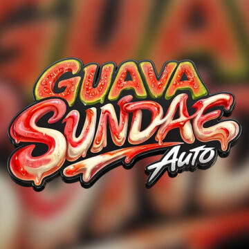 Guava Sundae Auto autofloreciente | 420 Fast Buds