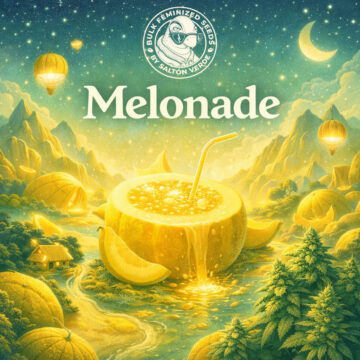 Melonade granel feminizadas (100uds.) | Bulk Feminized Seeds