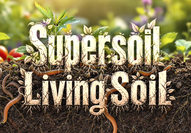 Living Soil y Supersoil: guía completa para un suelo vivo, fértil y productivo