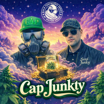 Cap Junkty granel feminizada (100uds.) | Bulk Feminized Seeds