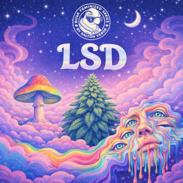 LSD granel feminizadas (100uds.) | Bulk Feminized Seeds