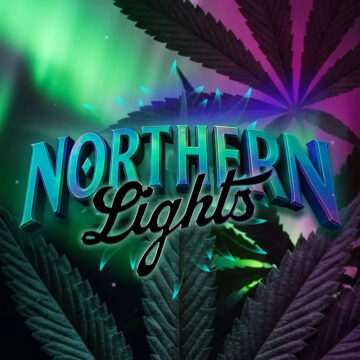 Northern Lights feminizada | Barneys Farm