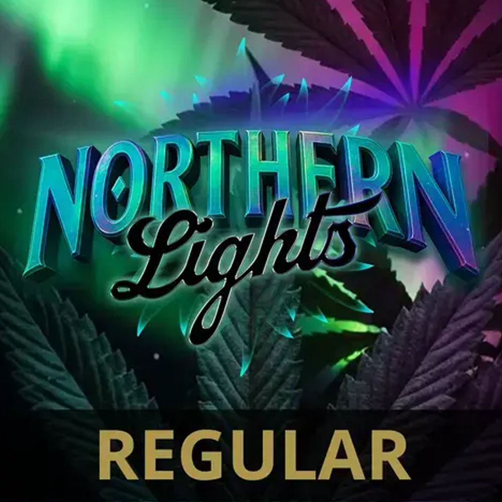 Noarderljocht regelmjittich | Barneys Farm