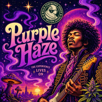 Purple Haze granel feminizada (100uds.) | Bulk Feminized Seeds