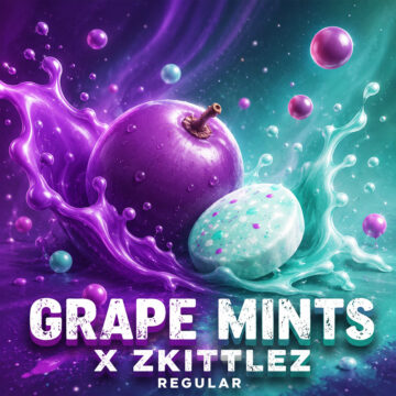 Menthe raisin x Zkittlez régulier (15 pièces) | Graines de Tramuntana